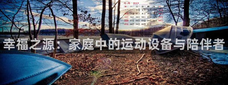九游体育官方正版app娱乐下载：幸福之源：家庭中的运