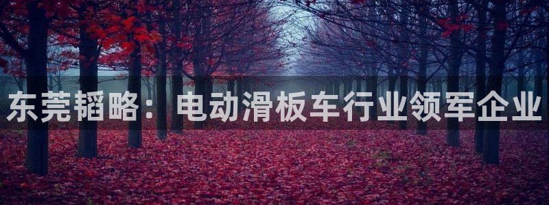 九游体育官方正版app集团logo