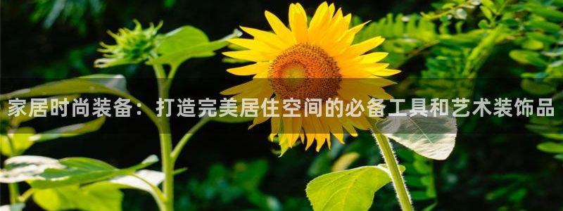 九游体育官网下载招商电话是多少：家居时尚装备：打造完美居住空