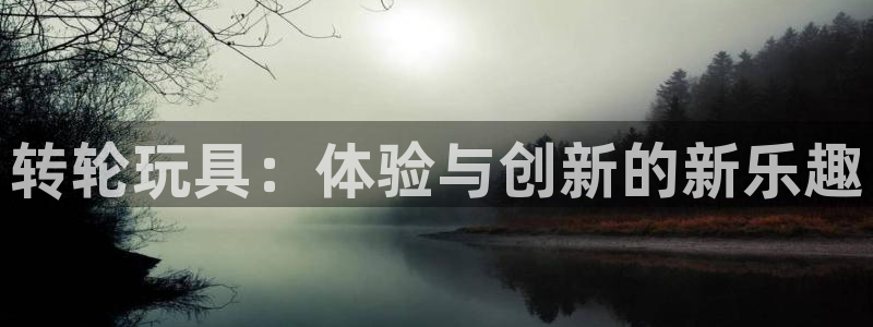 九游体育官方正版app娱乐平台：转轮玩具：体验与创新的新乐趣