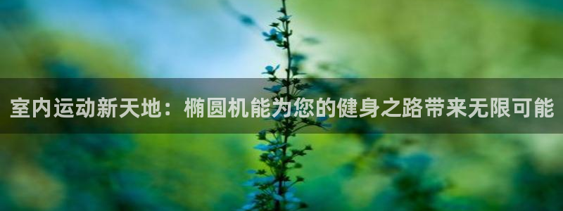 九游体育官方正版app集团：室内运动新天地：椭圆机能