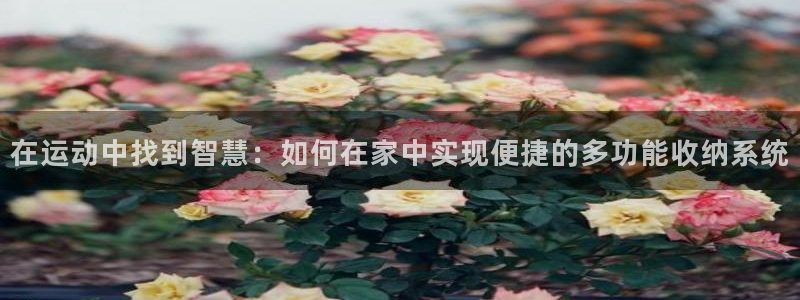 九游体育官网下载招商电话号码查询是多少：在运动中找到