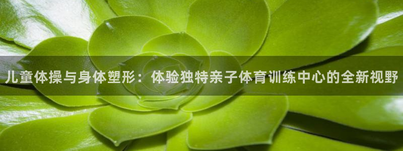 德国九游体育官方正版app集团：儿童体操与身体塑形：