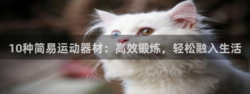 九游体育官网下载平台是正规平台吗：10种简易运动器材：高效锻