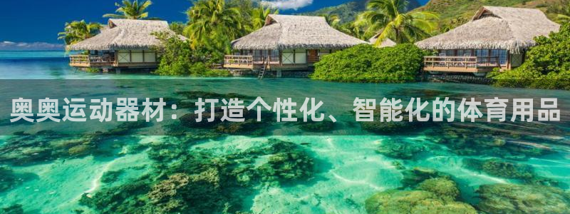 德国九游体育官方正版app集团：奥奥运动器材：打造个性化、智