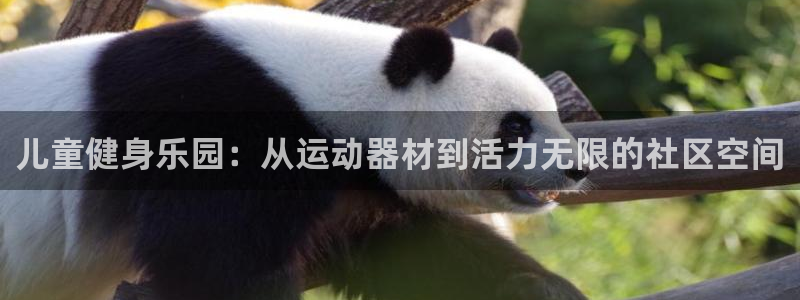 九游体育官方正版app集团E.ON：儿童健身乐园：从运动器材