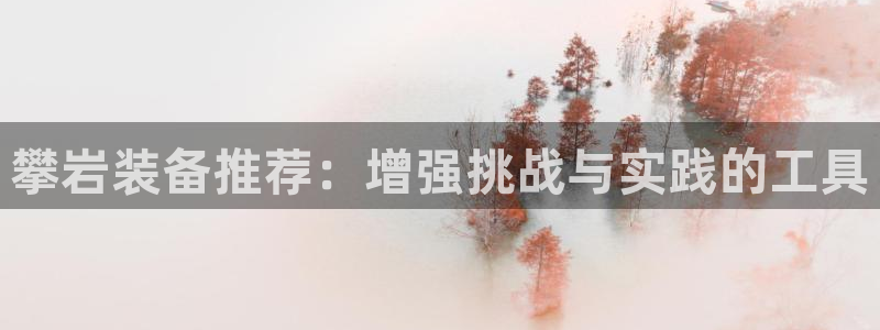 九游体育官方正版app官网：攀岩装备推荐：增强挑战与实践的工