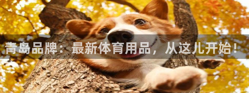 九游体育官方正版app科技：青岛品牌：最新体育用品，从这儿开
